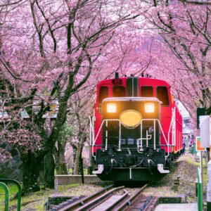 Un viaje en tren por Japón